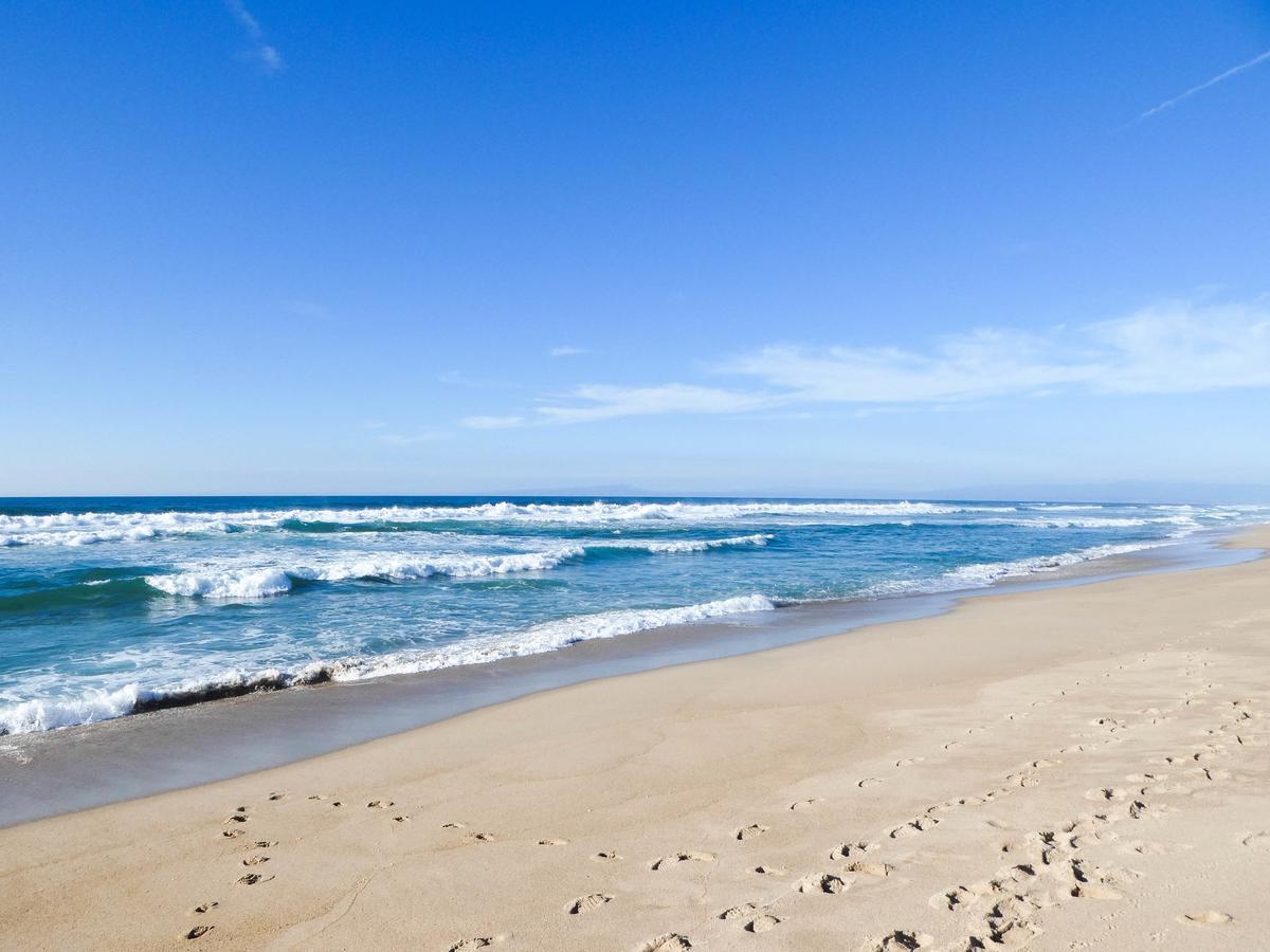 Briarwood Inn Carmel-by-the-Sea Екстериор снимка